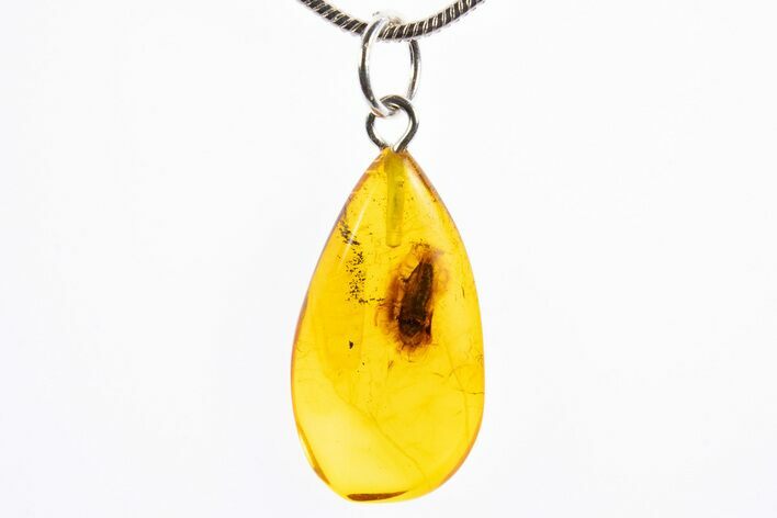Polished Baltic Amber Pendant (Necklace) - Contains Beetle! #322031